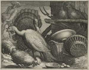 turkeys-and-chickens