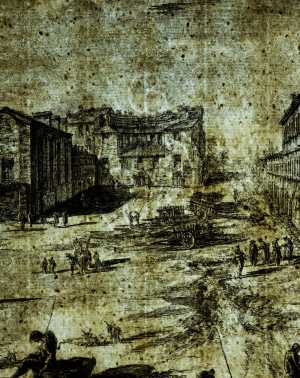 TMSFoto/PK/BdH 20688 (PK).jpg