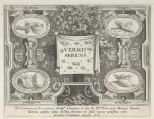 title-plate-vermis-sericus