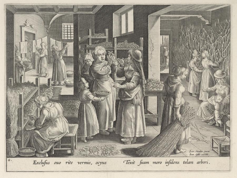 The Silkworm Eggs Spread out on Shelves