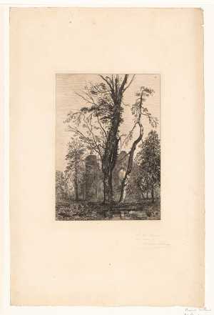 park-with-trees-and-ruin