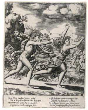 apollo-achtervolgt-daphne