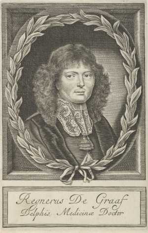 portrait-of-reinier-de-graaf