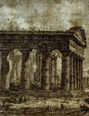 TMSFoto/PK/BdH 23368 (PK)_1.jpg