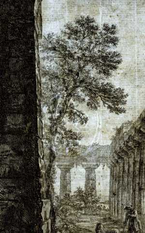 TMSFoto/PK/BdH 23371 (PK)_1.jpg