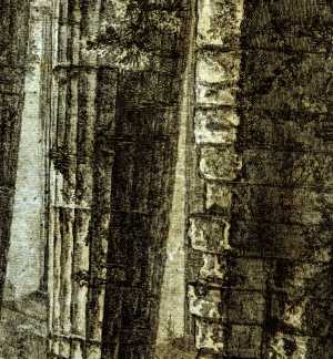 TMSFoto/PK/BdH 23373 (PK)_1.jpg