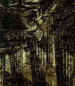 TMSFoto/PK/BdH 23380 (PK)_1.jpg