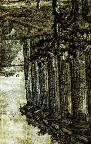 TMSFoto/PK/BdH 23384 (PK)_1.jpg