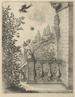 the-spider-and-the-swallow