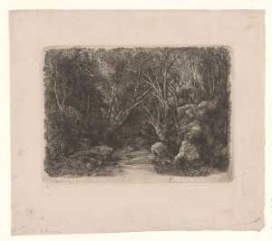 de-stroom-in-het-bos