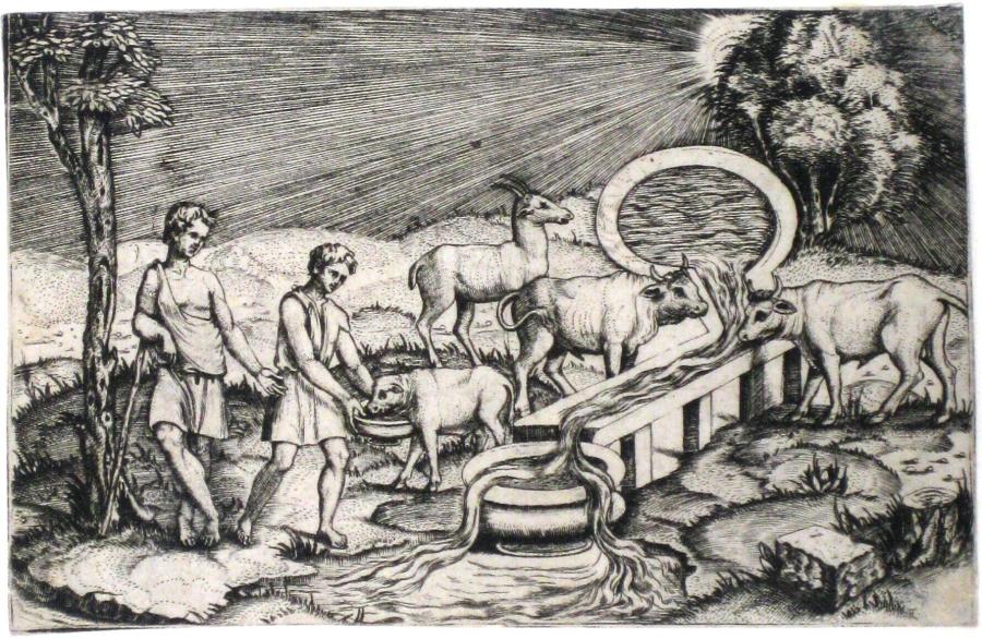 De drinkplaats van het vee