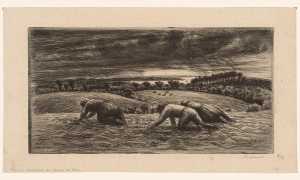 aardappelrapende-boeren