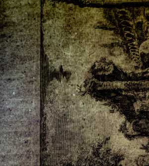 TMSFoto/PK/BdH Boek 2 a 64 (PK).jpg