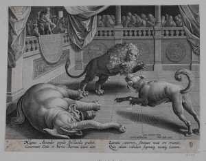 alexander-the-great-watches-animal-fight-elephant-lion-and-dog