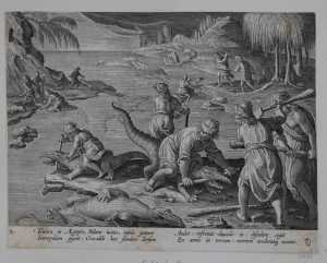 crocodile-hunt