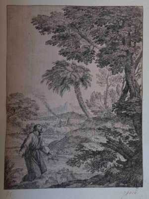 st-franciscus-ontvangt-het-stigma