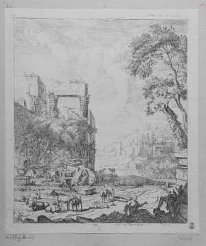 landschap-met-een-kudde-schapen