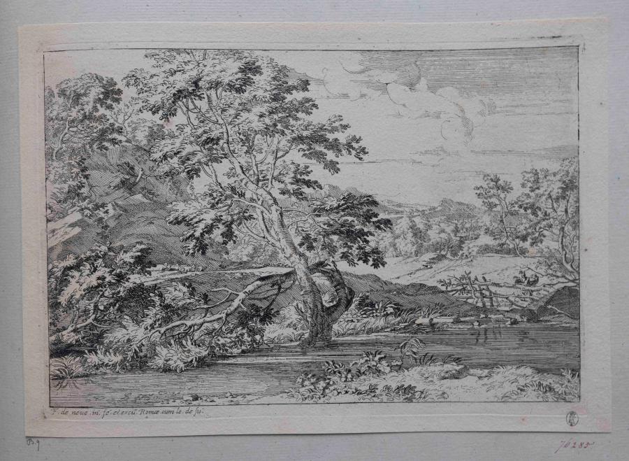 Landschap met boom in een rivier