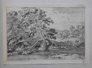 landschap-met-boom-in-een-rivier