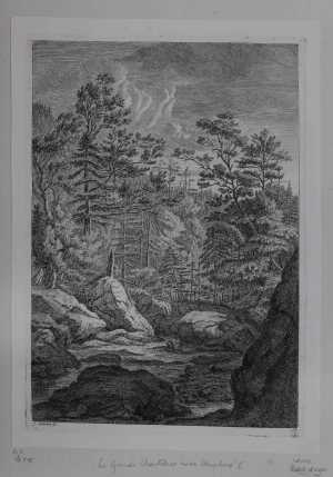 forest-landscape-with-a-stream