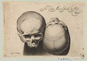 two-human-skulls