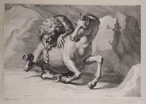 lion-attacks-horse