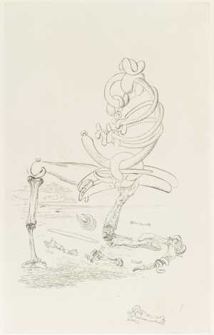 illustratie-bij-de-zangen-van-maldoror