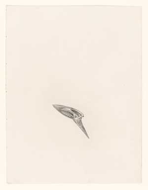 illustratie-bij-de-zangen-van-maldoror