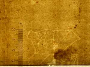 TMSFoto/PK/CCW 1 (PK)_3.jpg