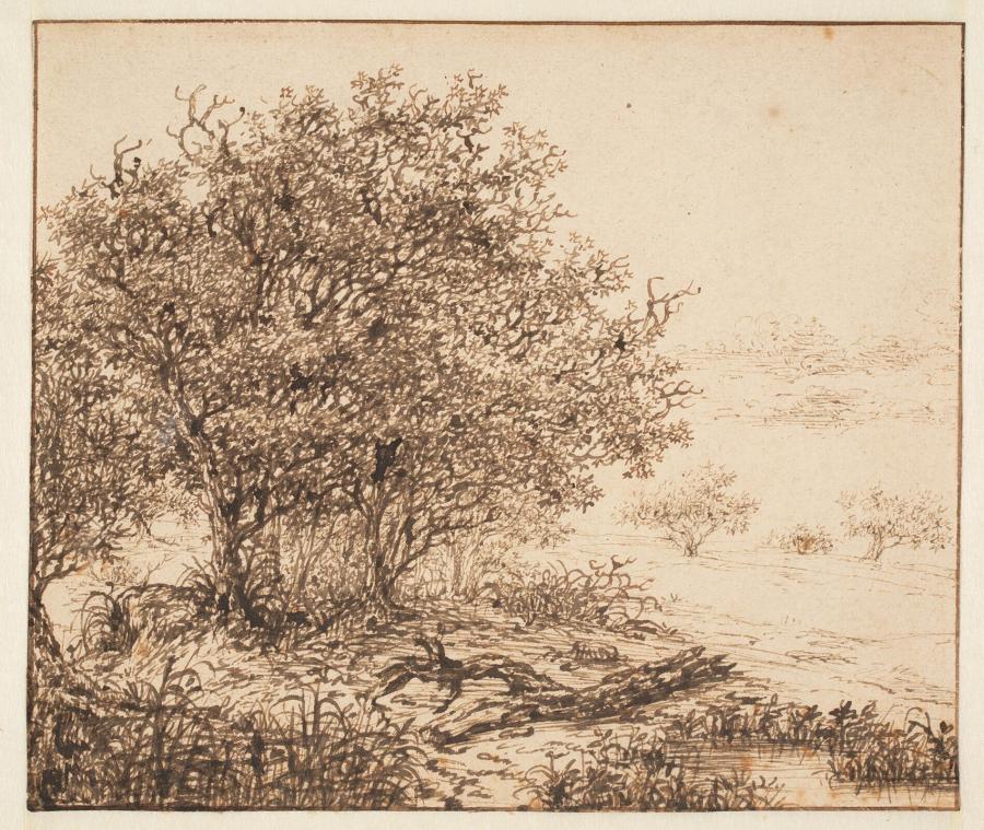 Dune Landscape with Trees