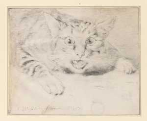 studie-van-een-blazende-kat