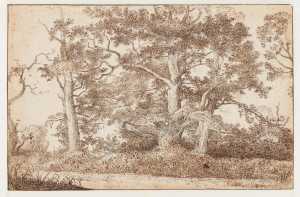 bomen-langs-een-pad