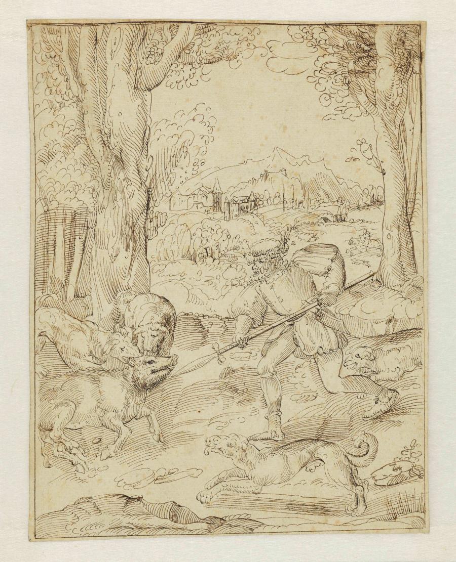 Boar Hunt
