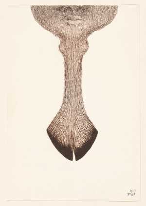 der-spiegel-der-genoveva