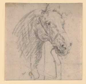 een-paardenkop-opgetuigd-en-rechts-gewend