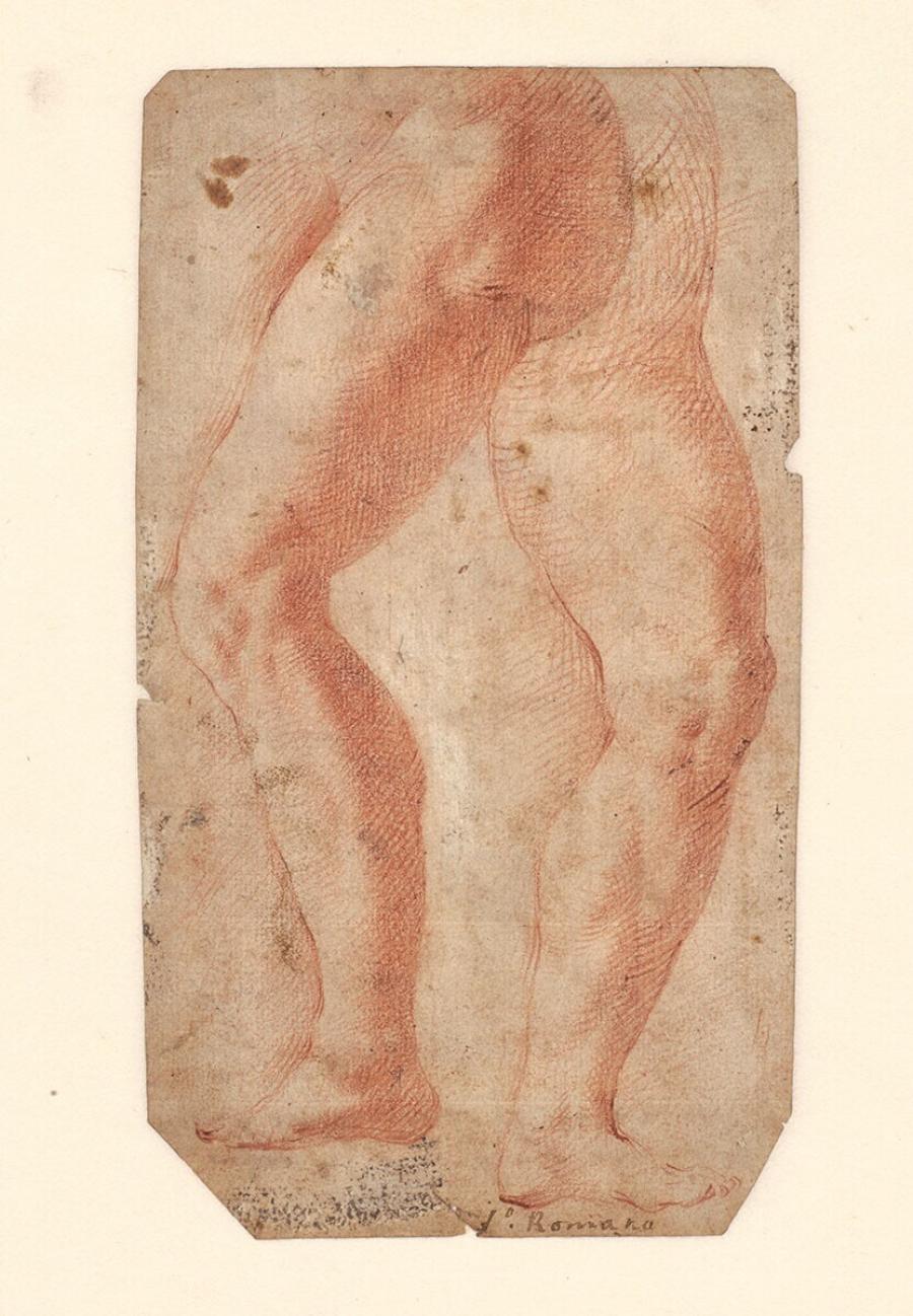 Twee studies van een been