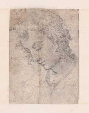 head-of-a-young-man-in-profile