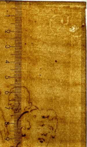 TMSFoto/PK/DN 204-101 (PK)_3.jpg