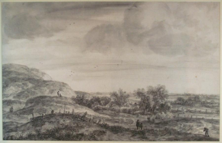 Duingezicht buiten Haarlem