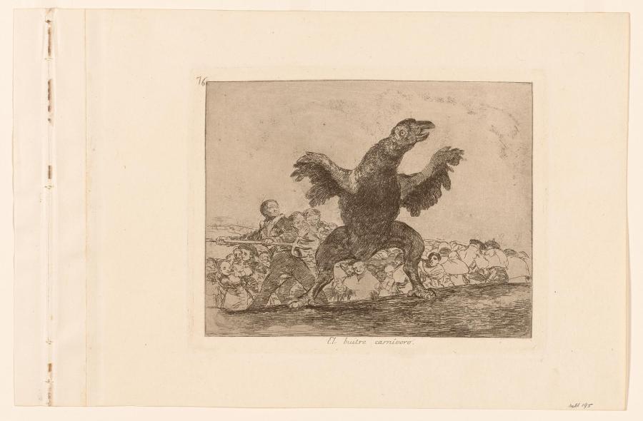 El buitre carnívoro