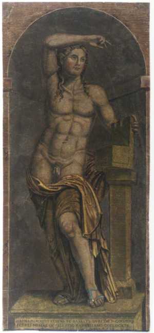 hermaphroditus