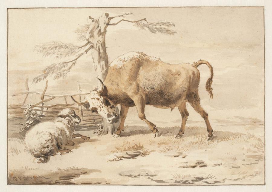 A Bull and a Sheep in a Meadow