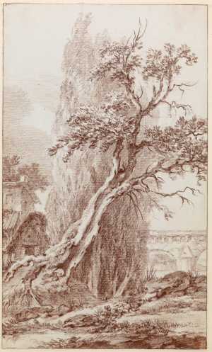 landscape-with-tall-tree-in-the-surroundings-of-beauvais