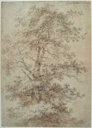 tree-with-foliage