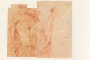 mandolinespeler-verso-van-inv-f-i-51-en-52-gecombineerd