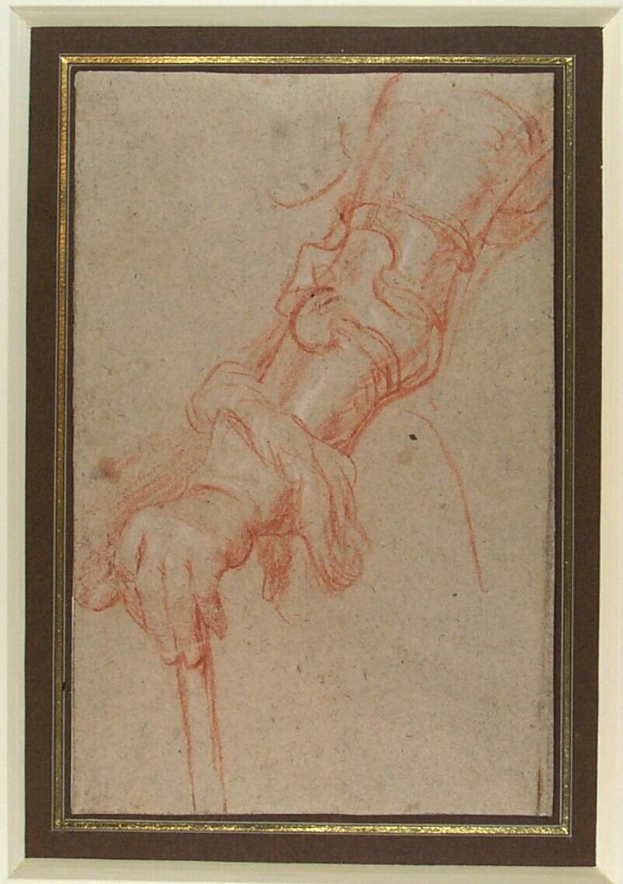 Study of a Harnessed Arm