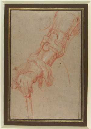 study-of-a-harnessed-arm