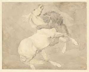 horse-attacked-by-a-lion