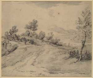 hilly-landscape-with-bushes-along-a-dirt-road