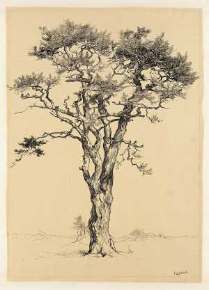 drawing